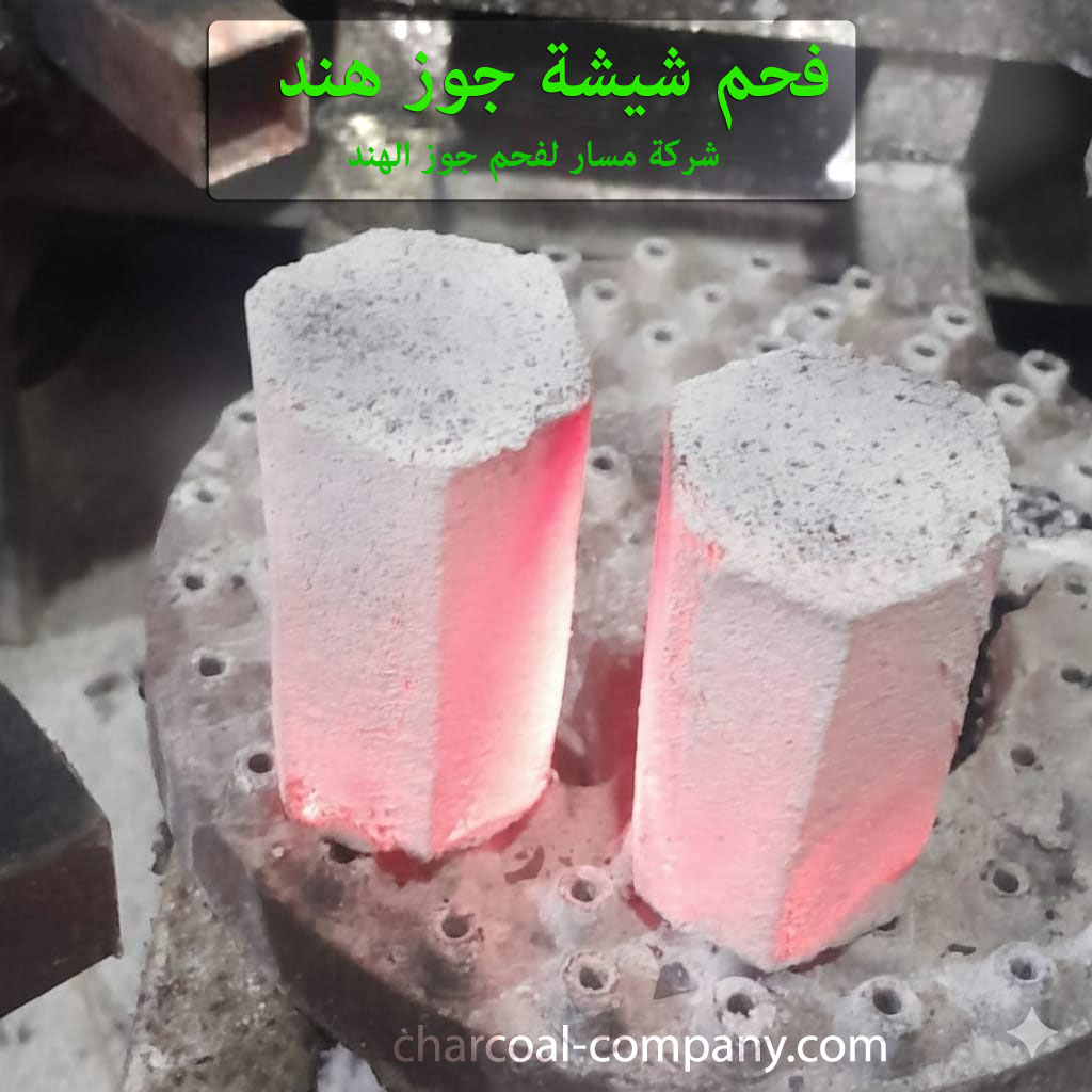 فحم شيشة جوز هند